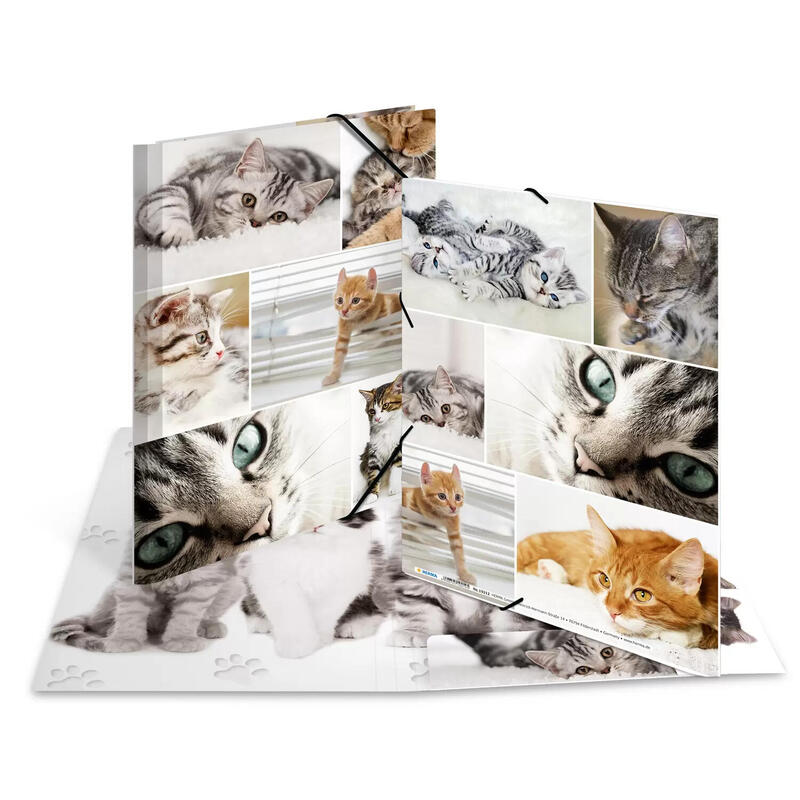 herma-carpeta-de-carton-a4-gatos