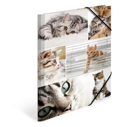 herma-carpeta-de-carton-a4-gatos