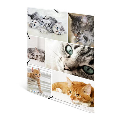 herma-carpeta-de-carton-a4-gatos