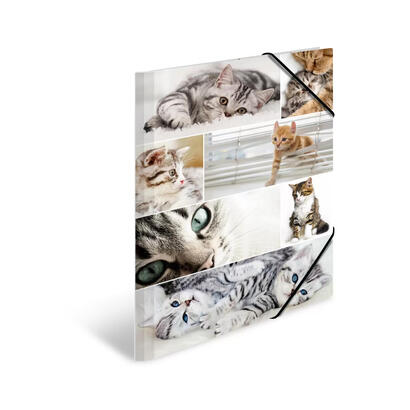 herma-carpeta-a3-gatos-carton
