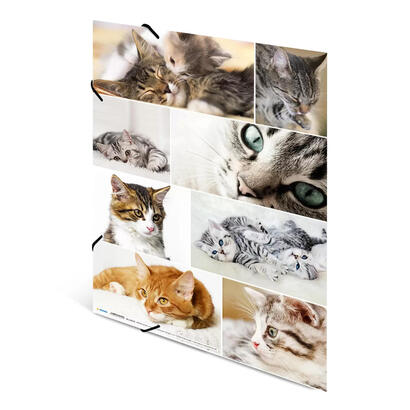 herma-19219-carpeta-carton-multicolor-a3
