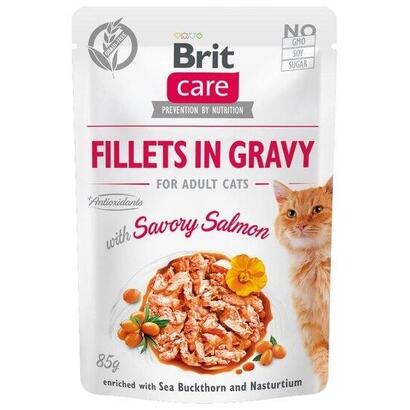gato-brit-care-filetes-de-gato-en-salsa-de-salmon-salado-85g