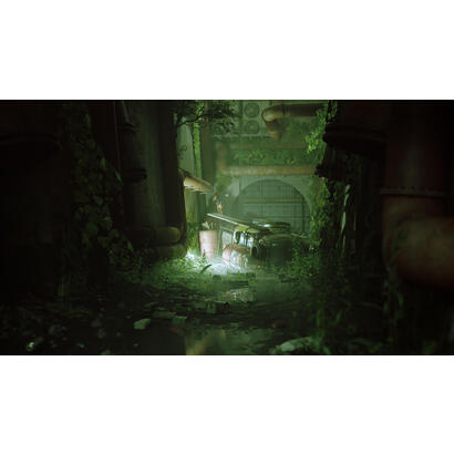 stray