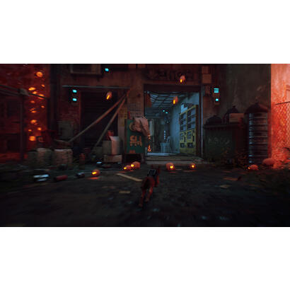 stray