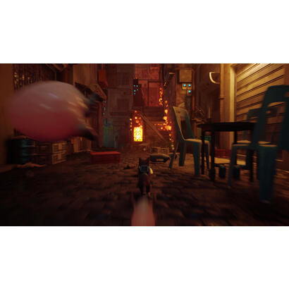 stray