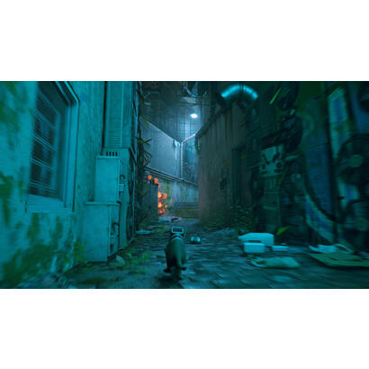 stray