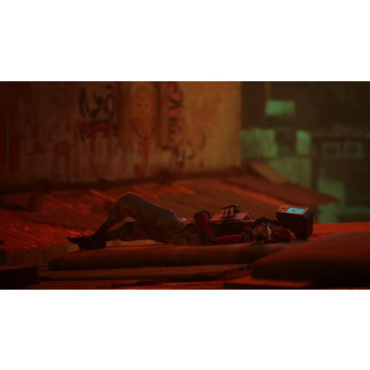 stray