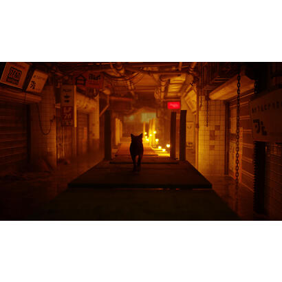 stray