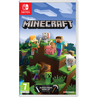 switch-minecraft