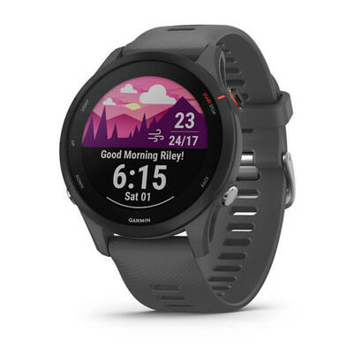 smartwatch-garmin-sportwatch-forerunner-255-g-pizz