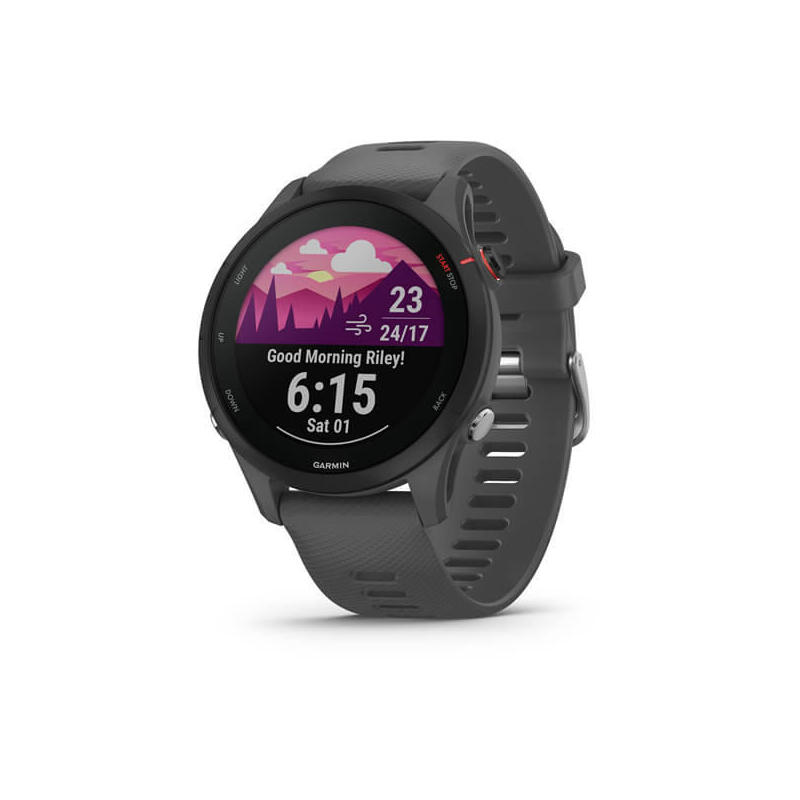 smartwatch-garmin-sportwatch-forerunner-255-g-pizz