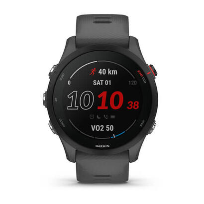 smartwatch-garmin-sportwatch-forerunner-255-g-pizz