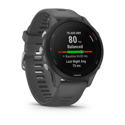 smartwatch-garmin-sportwatch-forerunner-255-g-pizz