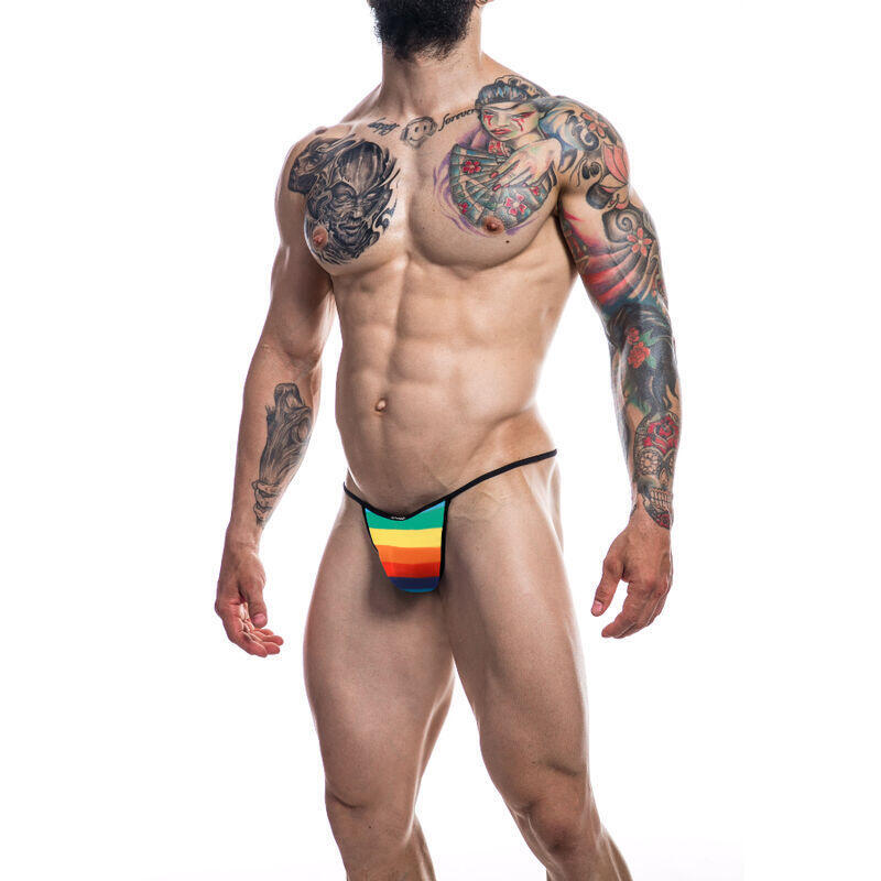 cut4men-briefkini-rainbow-l