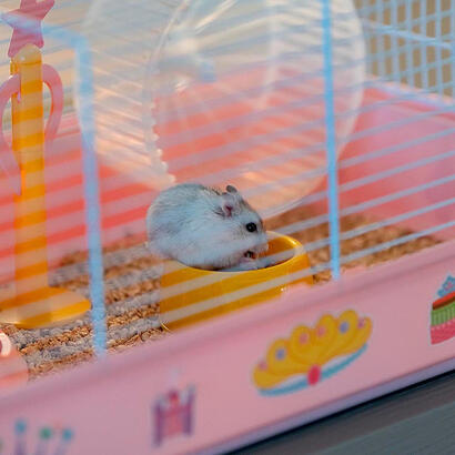 criceti-9-princess-una-jaula-para-hamsters