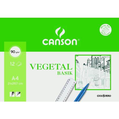 canson-minipack-vegetal-basik-12-hojas-21x297cm