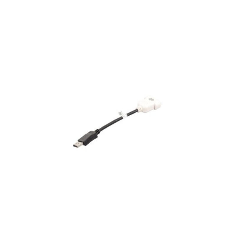 dell-displayportdvi-d-negro-blanco