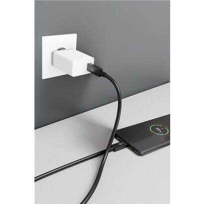 wentronic-49254-cable-usb-1-m-usb-32-gen-2-31-gen-2-usb-c-negro