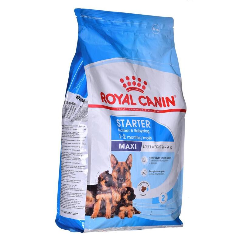 royal-canin-shn-maxi-starter-mb-4kg