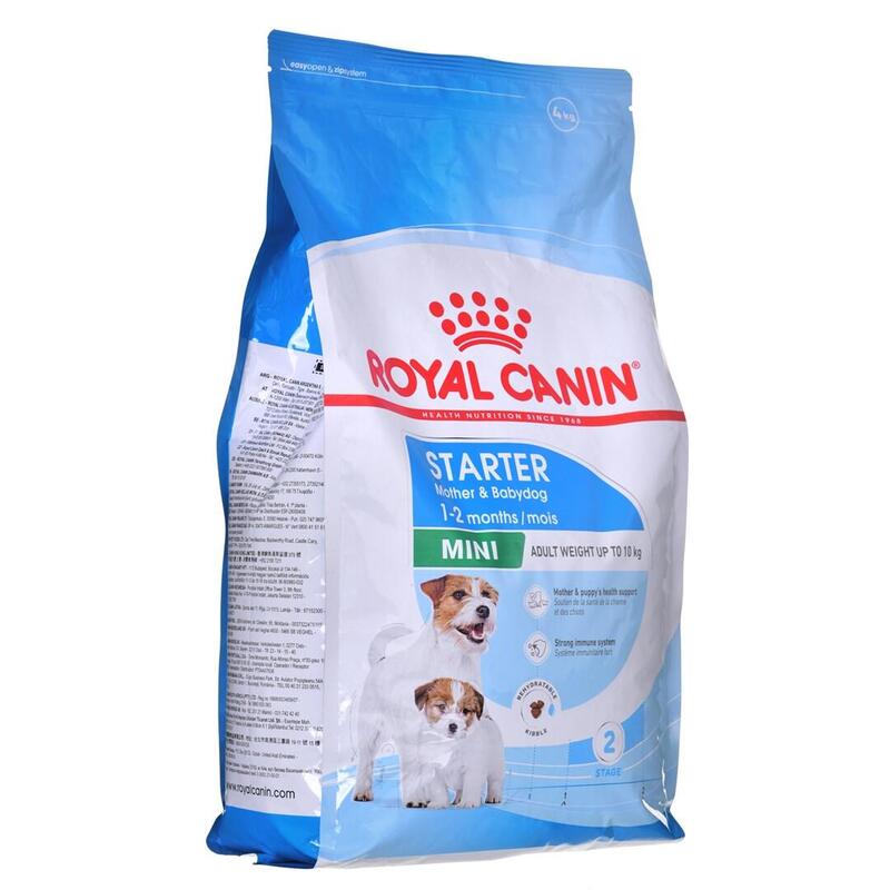 royal-canin-shn-mini-starter-mb-4kg-perro