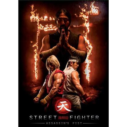 street-fighter-assassin-s-fist