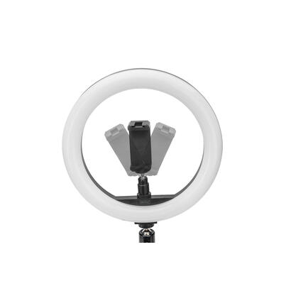 soporte-digitus-luz-led-anular-10-pulgadas-led-ring-light-desk