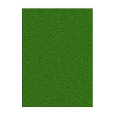 displast-tapas-encuadernacion-carton-gofrado-900gr-a4-color-verde-paquete-50u-