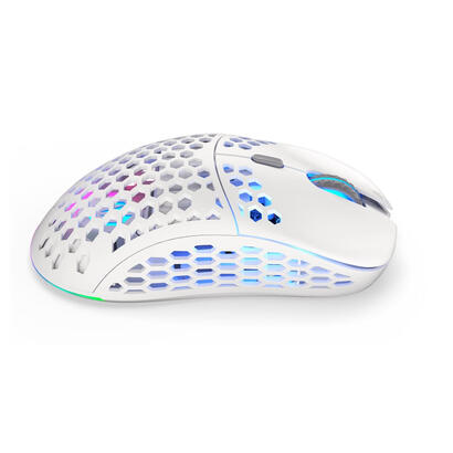 raton-endorfy-lix-owh-wireless-usb-type-c-optico-16000-dpi-ey6a010