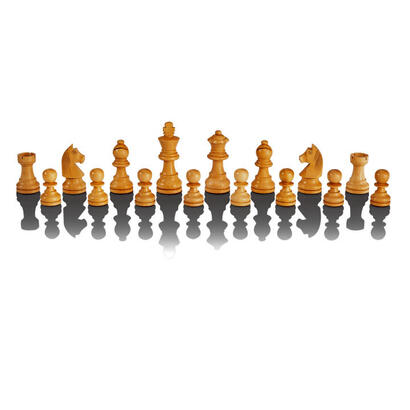 computadora-de-ajedrez-millennium-the-king-performance-m830