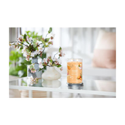 yankee-candle-signature-mango-helado-vaso-567g