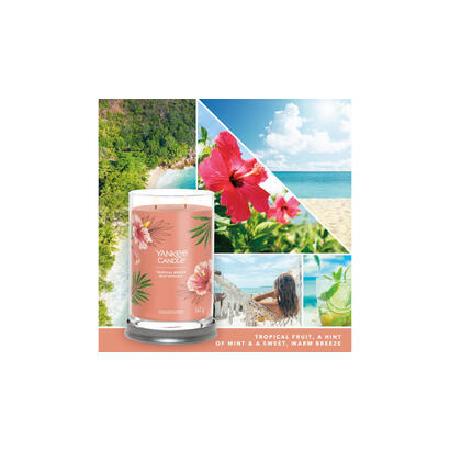 yankee-candle-signature-tropical-breeze-vaso-567g