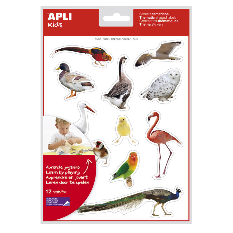 pack-de-5-unidades-apli-gomets-tematicos-realistas-de-aves-144-gomets-en-12-hojas-imagenes-realistas-para-relacionar-aves-desarr