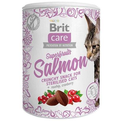 brit-care-superfruits-salmon-goma-para-gatos-100-g