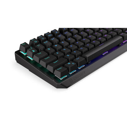 teclado-ingles-endorfy-thock-75-wireless-black-usb-rf-wireless-bluetooth-qwerty-negro