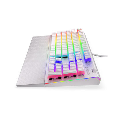 endorfy-omnis-gtc-p-kailh-br-rgb