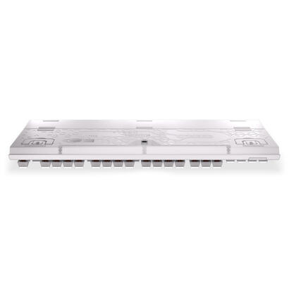 endorfy-omnis-gtc-p-kailh-br-rgb