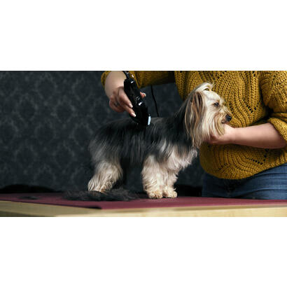 moser-1400-0076-cortadora-de-pelo-de-mascotas