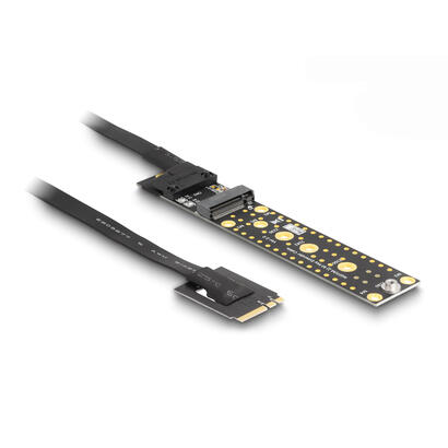 delock-64215-tarjeta-de-expansion-nvme-m2-clave-ae-macho-a-clave-m-ranura-con-cable-de-20-cm