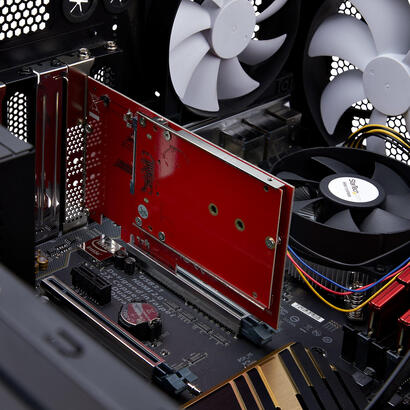 adaptador-m2-a-25-startech-1m25-u3-m2-adapter