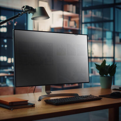 startech-filtro-de-privacidad-de-236-169-para-monitor