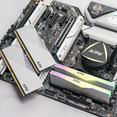 memoria-adata-16-gb-ddr5-6400-1x-16-gb-ax5u6400c3216g-clarwh
