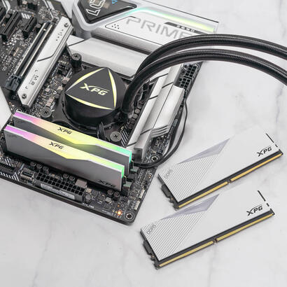 memoria-adata-16-gb-ddr5-6400-1x-16-gb-ax5u6400c3216g-clarwh