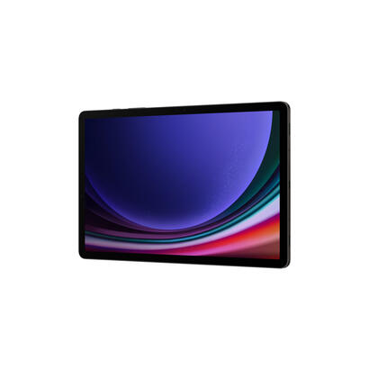 tablet-samsung-tab-s9-wifi-only-256gb12gb-graphite-eu