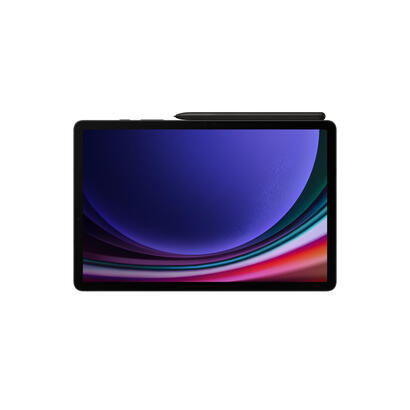 tablet-samsung-tab-s9-wifi-only-256gb12gb-graphite-eu