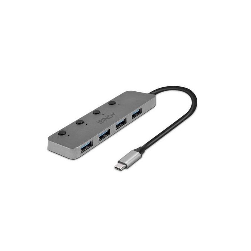 lindy-43383-hub-de-interfaz-usb-32-gen-1-31-gen-1-type-c-5000-mbits-gris