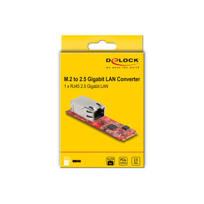 delock-convertidor-m2-tecla-bm-macho-a-1-x-rj45-25-gigabit-lan-puerto-horizontal