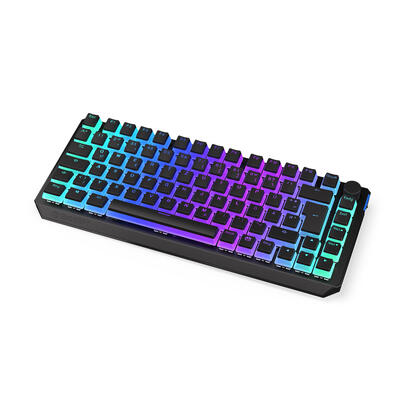 teclado-aleman-endorfy-thock-75-rf-inalambrica-usb-qwertz-negro
