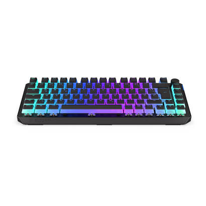 teclado-aleman-endorfy-thock-75-rf-inalambrica-usb-qwertz-negro