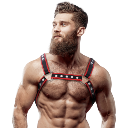 fetish-submissive-attitude-arnes-bulldog-ecopiel-pecho-hombre-negrorojo