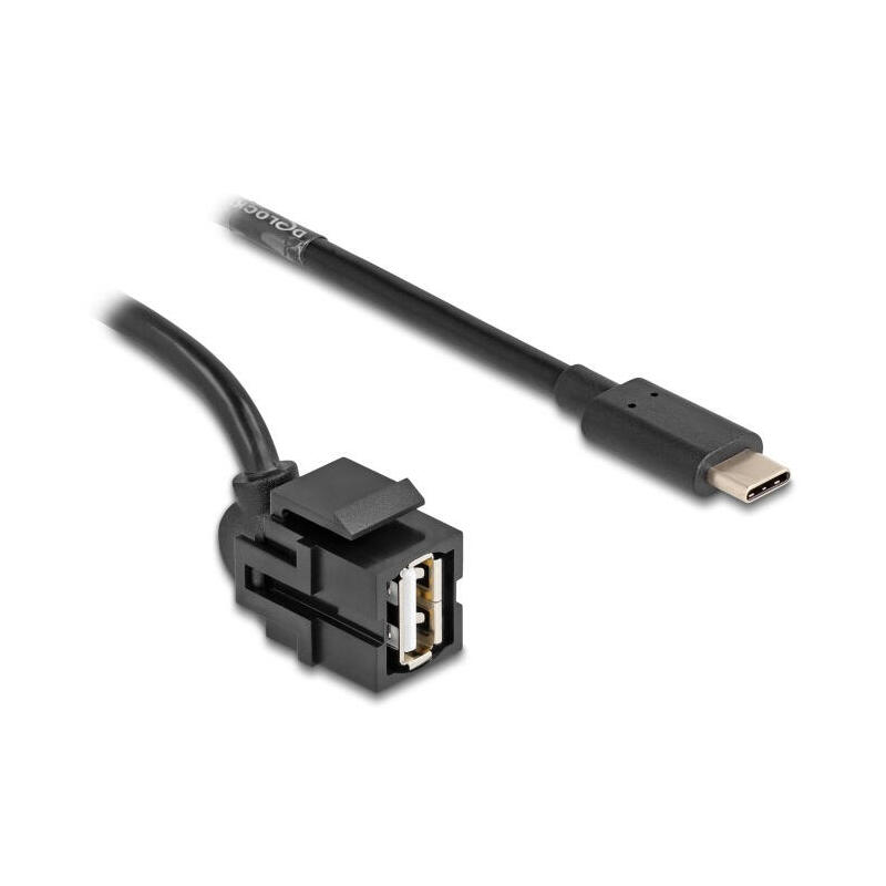 delock-88056-modulo-keystone-usb-20-a-hembra-usb-type-c-macho-250-con-cable-05-m
